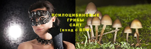 стафф Баксан