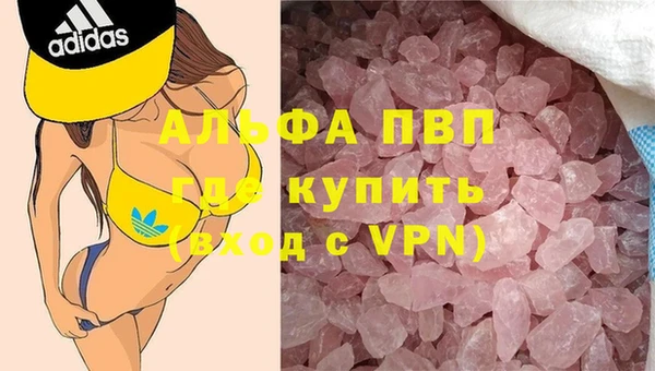 стафф Баксан
