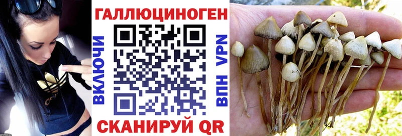 Галлюциногенные грибы прущие грибы  Купить  Великий Устюг 